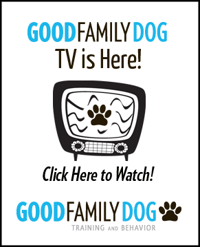 Good Family Dog TV Web Banner-0