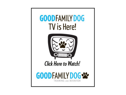 Good Family Dog TV Web Banner